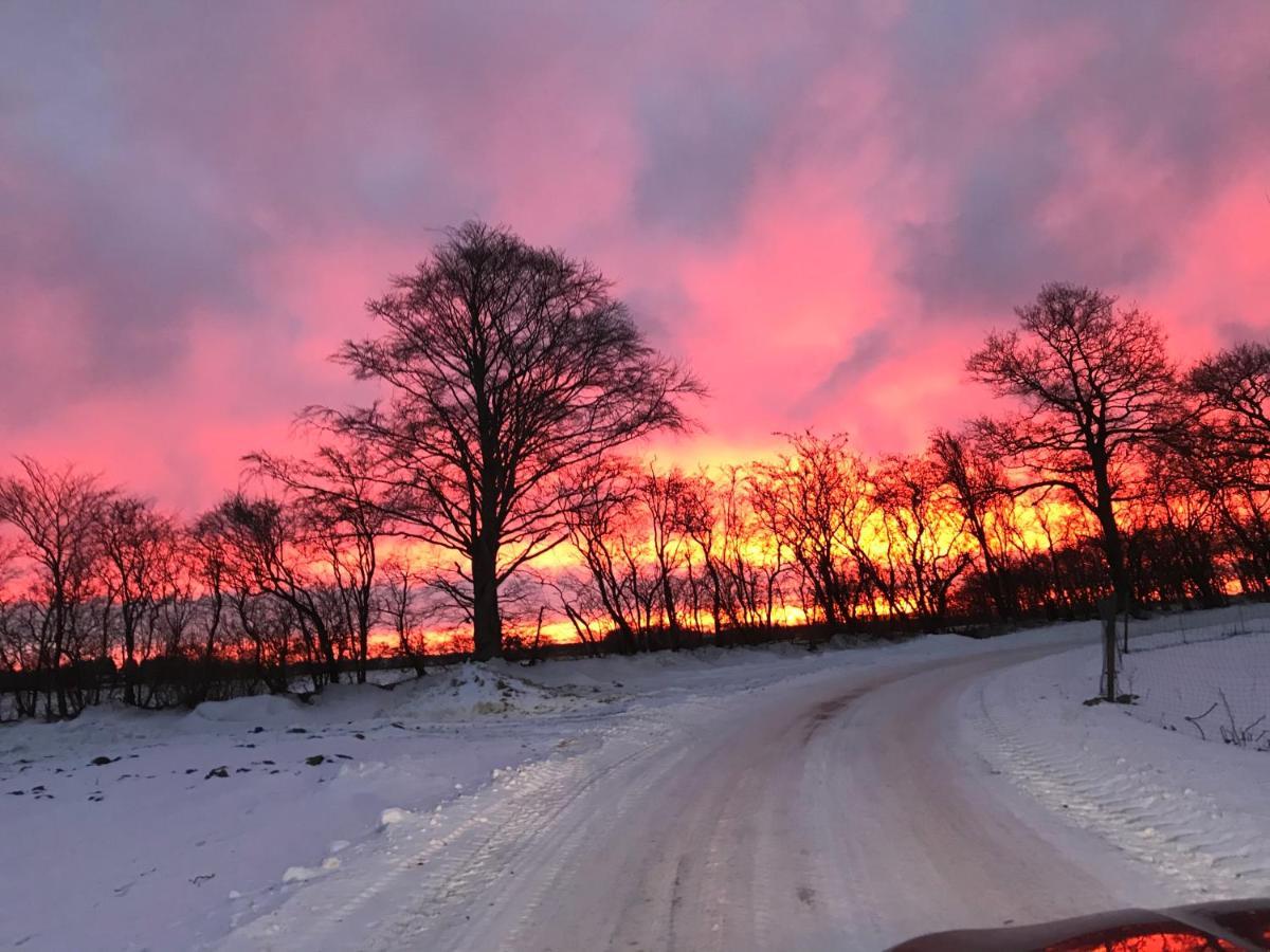 Bremsmaj Farm Holiday Kværs Exteriér fotografie