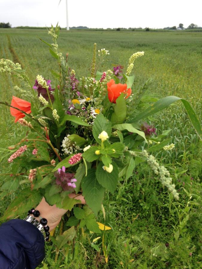 Bremsmaj Farm Holiday Kværs Exteriér fotografie