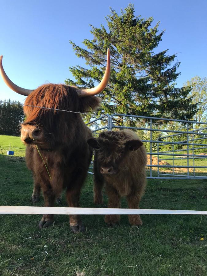 Bremsmaj Farm Holiday Kværs Exteriér fotografie
